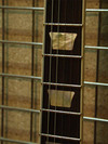 CLP-1 ready made inlays.jpg